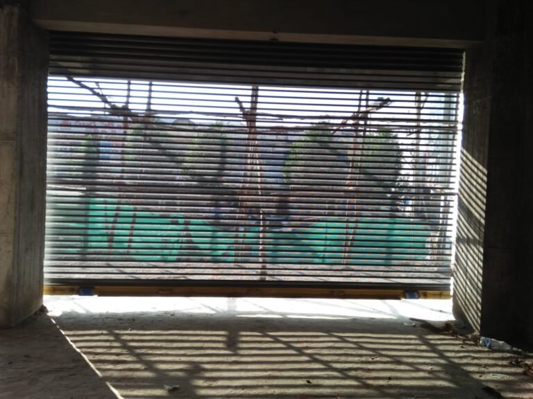 WhatsApp Image 2026-02-03 at 1.50.13 PM